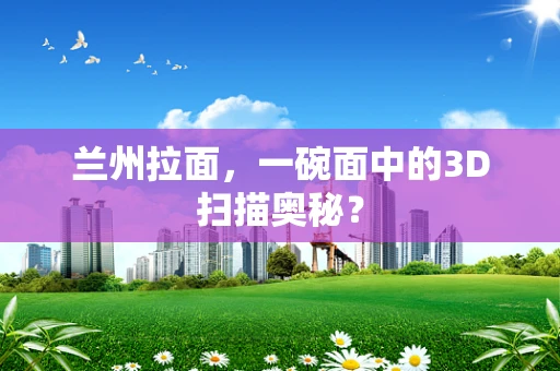 兰州拉面，一碗面中的3D扫描奥秘？