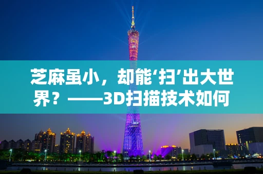 芝麻虽小，却能‘扫’出大世界？——3D扫描技术如何精准捕捉微小细节