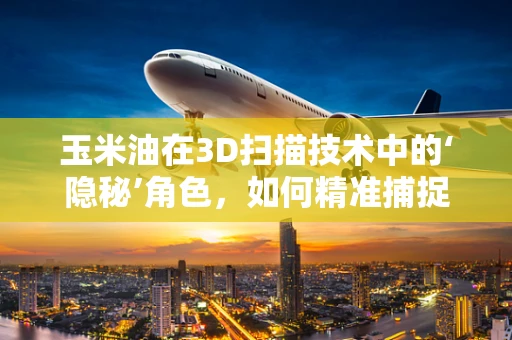 玉米油在3D扫描技术中的‘隐秘’角色，如何精准捕捉其细微纹理？