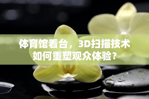 体育馆看台，3D扫描技术如何重塑观众体验？