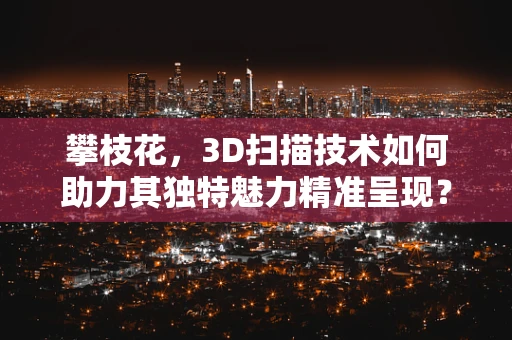攀枝花，3D扫描技术如何助力其独特魅力精准呈现？