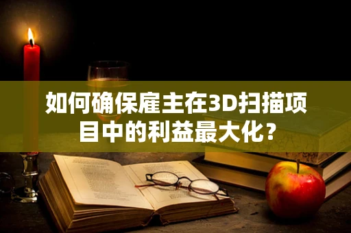 如何确保雇主在3D扫描项目中的利益最大化？