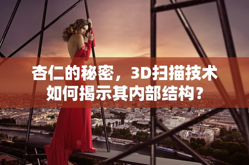 杏仁的秘密，3D扫描技术如何揭示其内部结构？