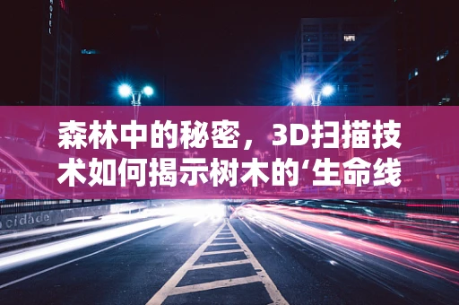 森林中的秘密，3D扫描技术如何揭示树木的‘生命线’？