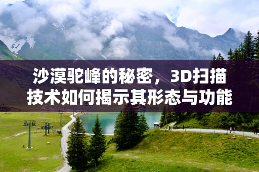 沙漠驼峰的秘密，3D扫描技术如何揭示其形态与功能的完美结合？