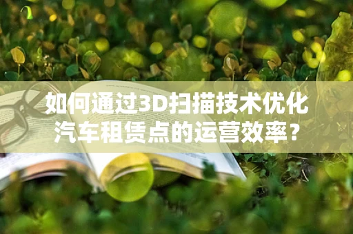 如何通过3D扫描技术优化汽车租赁点的运营效率？