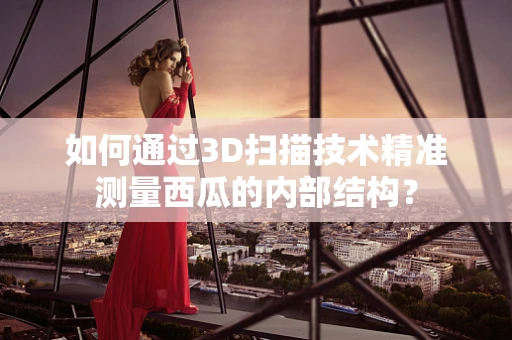 如何通过3D扫描技术精准测量西瓜的内部结构？