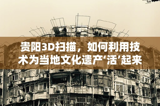 贵阳3D扫描，如何利用技术为当地文化遗产‘活’起来？