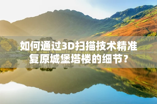如何通过3D扫描技术精准复原城堡塔楼的细节？
