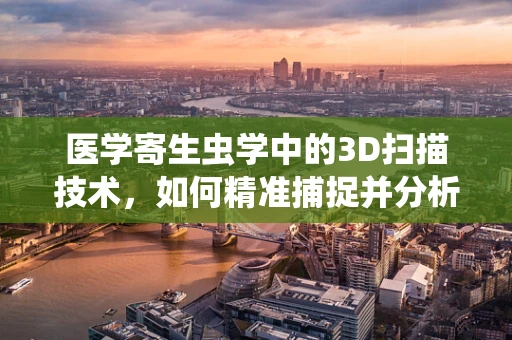 医学寄生虫学中的3D扫描技术，如何精准捕捉并分析微小寄生虫？