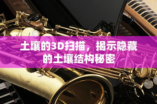 土壤的3D扫描，揭示隐藏的土壤结构秘密