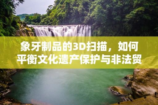 象牙制品的3D扫描，如何平衡文化遗产保护与非法贸易的界限？