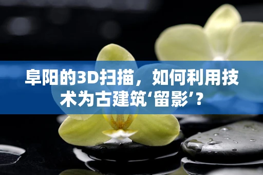 阜阳的3D扫描，如何利用技术为古建筑‘留影’？