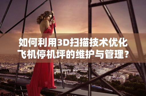 如何利用3D扫描技术优化飞机停机坪的维护与管理？