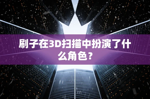 刷子在3D扫描中扮演了什么角色？
