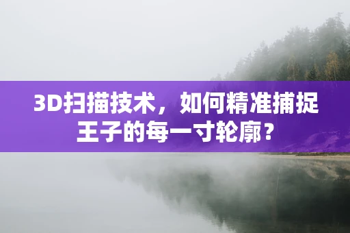 3D扫描技术，如何精准捕捉王子的每一寸轮廓？