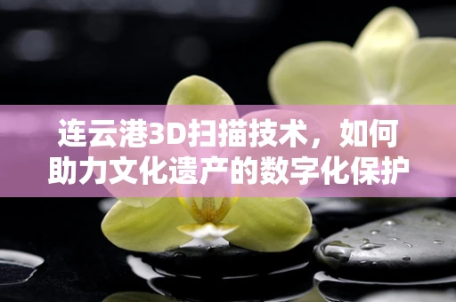 连云港3D扫描技术，如何助力文化遗产的数字化保护？