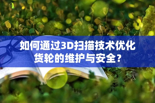 如何通过3D扫描技术优化货轮的维护与安全？