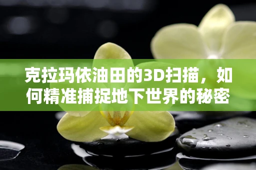 克拉玛依油田的3D扫描，如何精准捕捉地下世界的秘密？