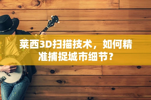 莱西3D扫描技术，如何精准捕捉城市细节？